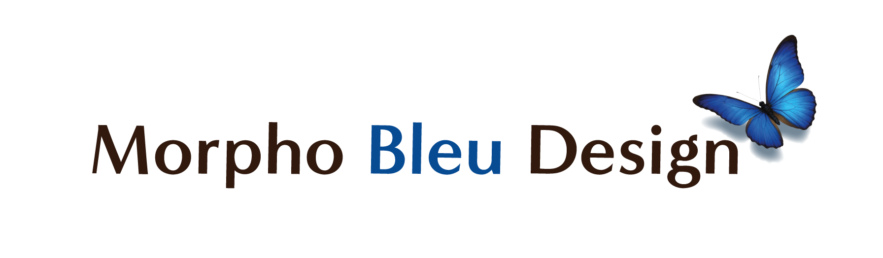 Morpho Bleu Design